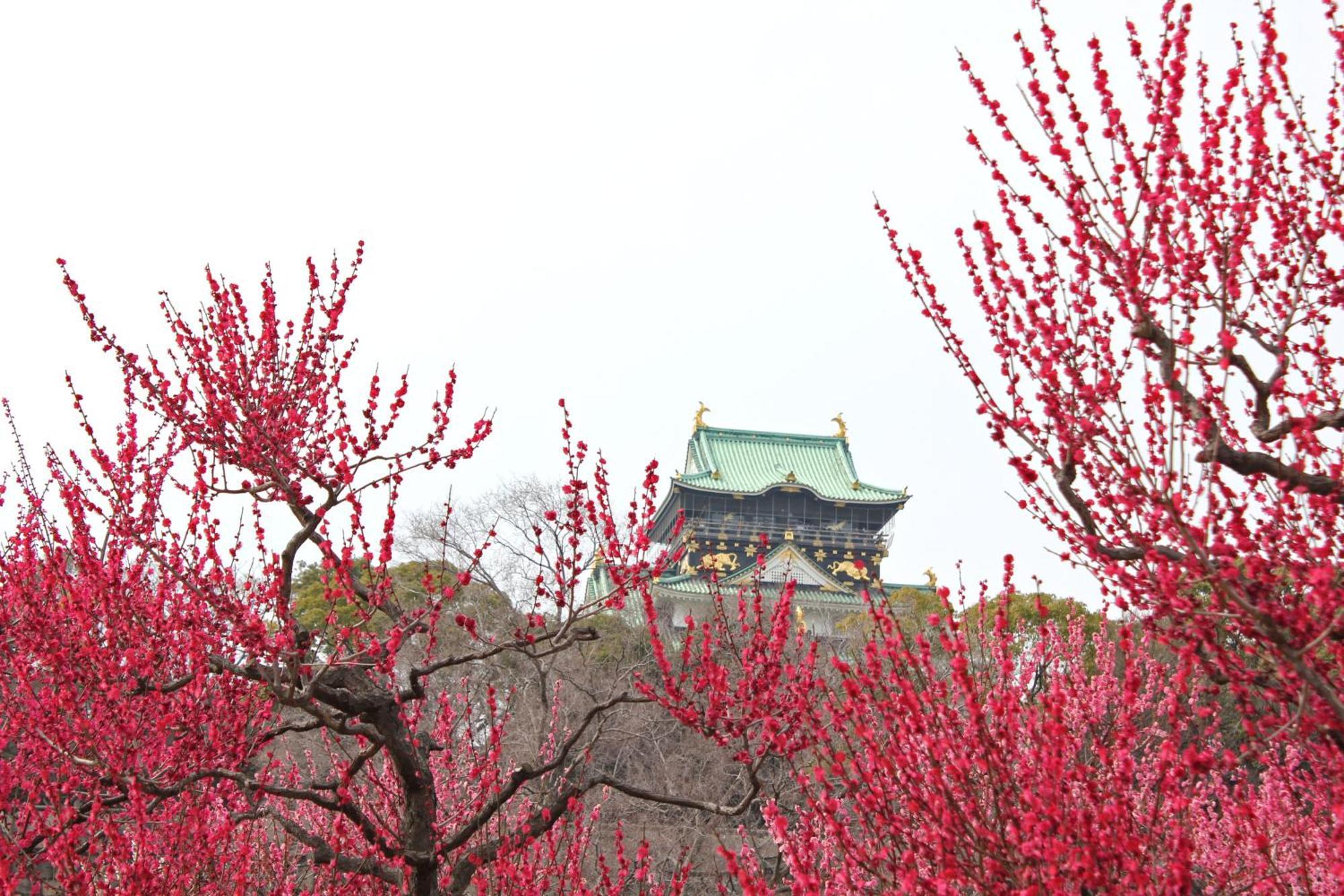 Hotel Wing International Select Higashi Osaka Kültér fotó